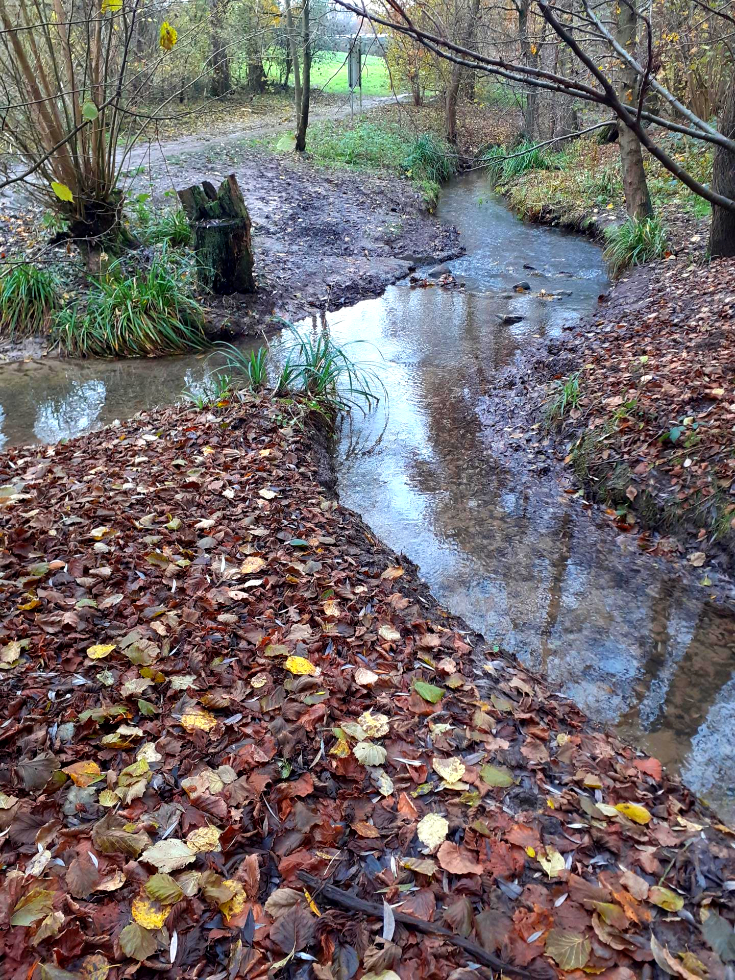 Zusammenfluss von Rumbach und Steinbach Image